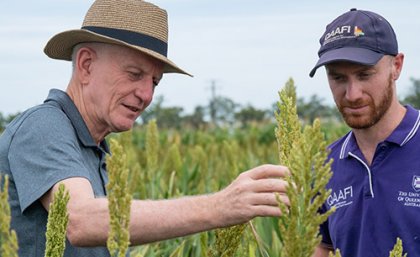 L-R Robert Henry, Patrick Mason - at Gatton library of sorghum mutants. Image: The University of Queensland